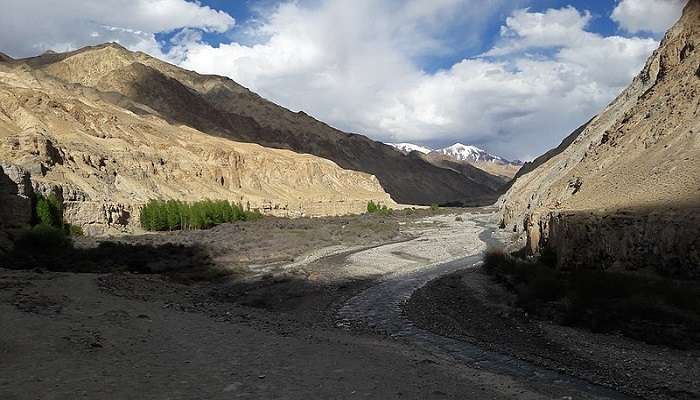 Ladakh’s Arid Markha Valley