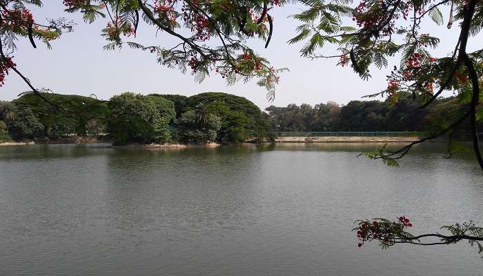 Jardin botanique de Lalbagh, C’est l’une des meilleus lieux lieux romantiques dans et autour de Bangalore