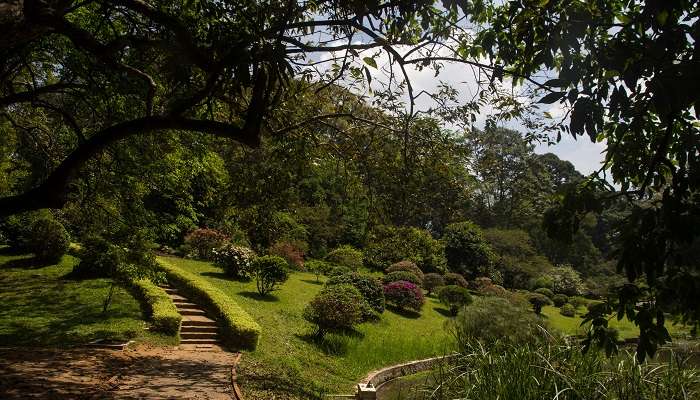 Visitez la Royal Botanical Gardens, Peradeniya