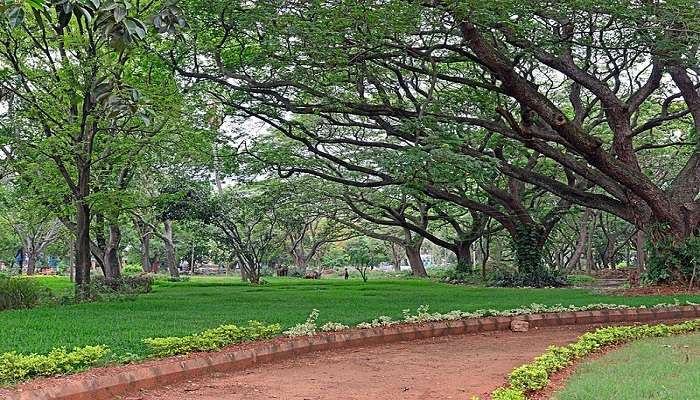 Beautiful landscape view of Javaregowda Park with lush greenery and walking paths near Sanjeevini Park
