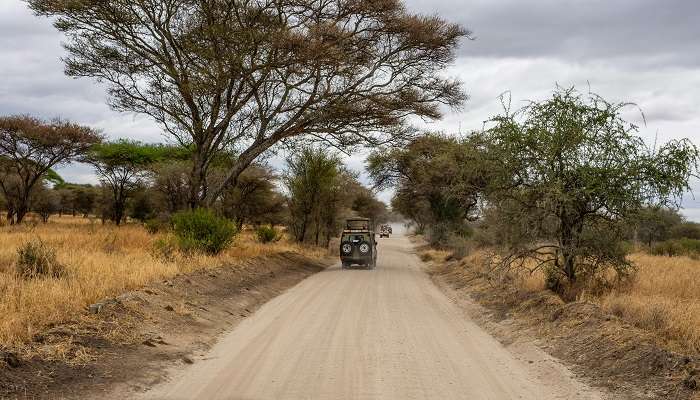 The Jeep Safari at the Gajner Wildlife Sanctuary is one of the most thrilling experiences