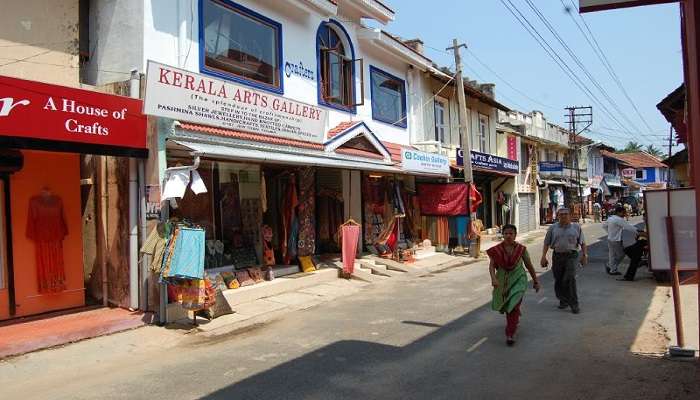 Backwater trips in Kochi in December provide stunning images of the natural scenery of Kerala with tranquillity.