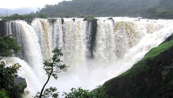 Jog Falls is the highest waterfall not only in Karnataka but throughout India.