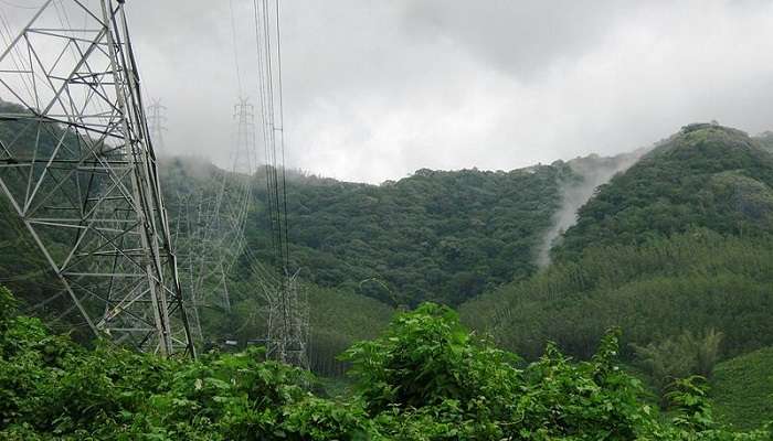 Fog covered view of Shendurney Wildlife Sanctuary