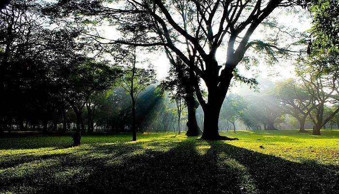 you can visit the Cubbon Park in Bangalore