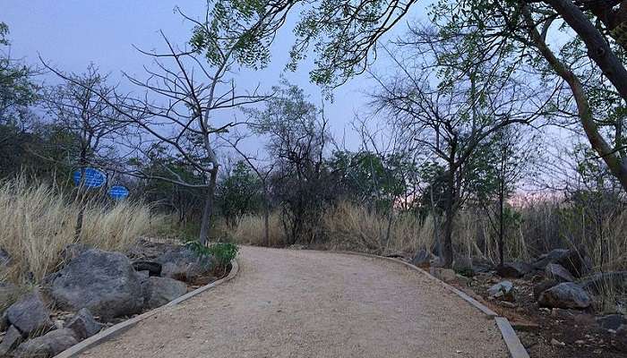 See wildlife at the KBR National Park, one of the best places to visit near Peddamma Temple.