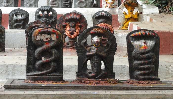 Naagas at Kadu Malleshwara temple