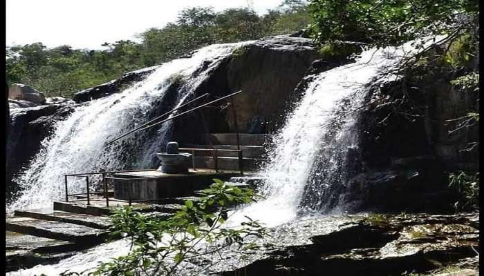 Visit this place for a beautiful trek through the woods and memorable picnicking.
