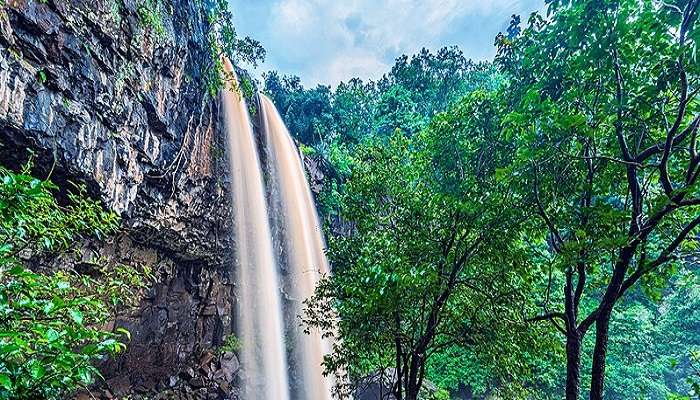 The greenery around Kapildhara Waterfall