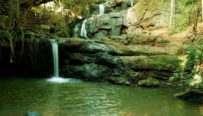 Karura Forest near Gigiri has a natural waterfall that captivates visitors.