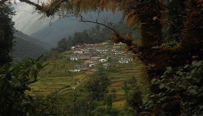 Drone Shot of Bageshwar District