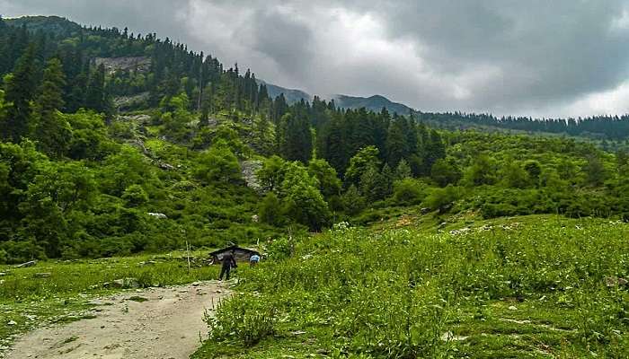 Do not miss out on experiencing the beauty of a magnificent trek with Kheerganga trek.