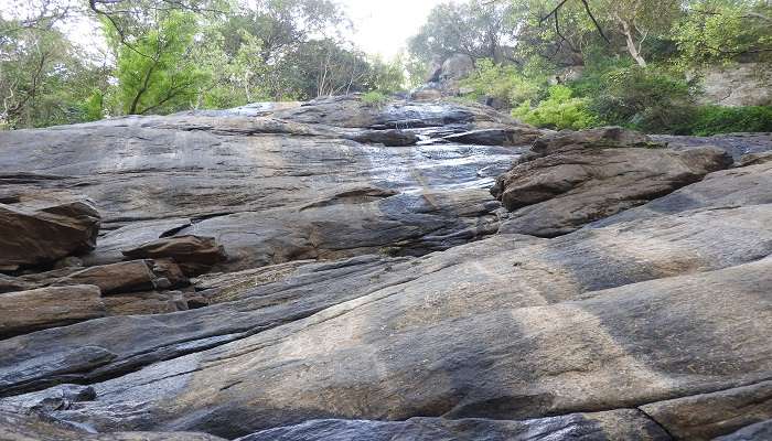 visit kiliyur falls near Shevaroy Temple 