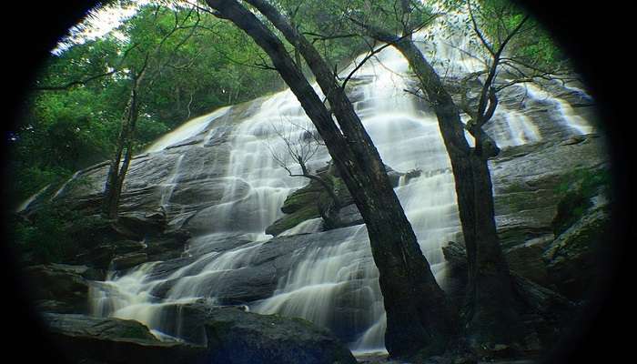 Kiliyur Falls is located at a very short distance from silk farm yercaud