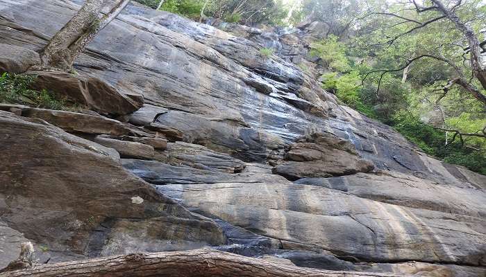  the majestic kiliyur falls near norton’s bungalow yercaud