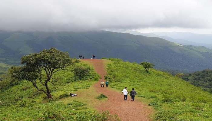 Kodachadri Peak is a natural site that invites those with adventure
