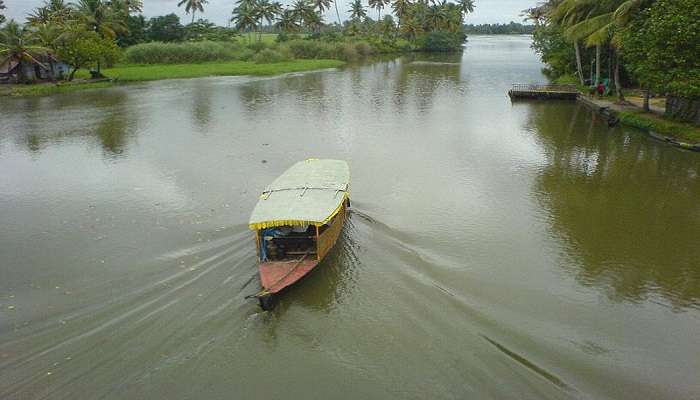 You can ride in the houseboats at the Kumarakom Backwaters