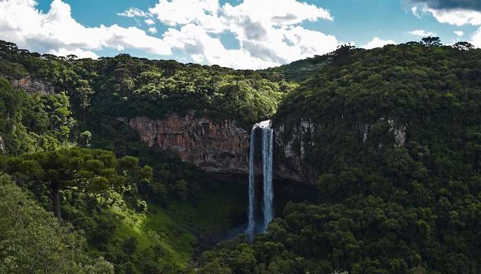 Kunchikal Falls to visit.