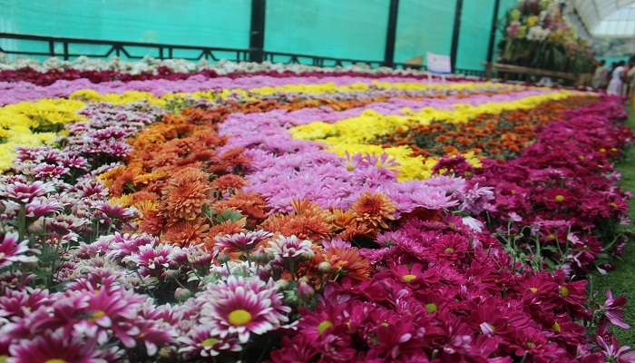 Beautiful and green Lalbagh Botanical Garden