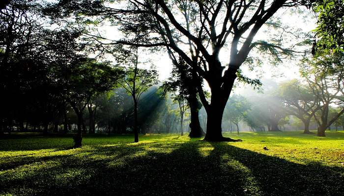 Maharaja Park, Karnataka