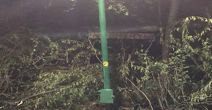 Malcha Mahal And The Mystery & Intrigue Surrounded