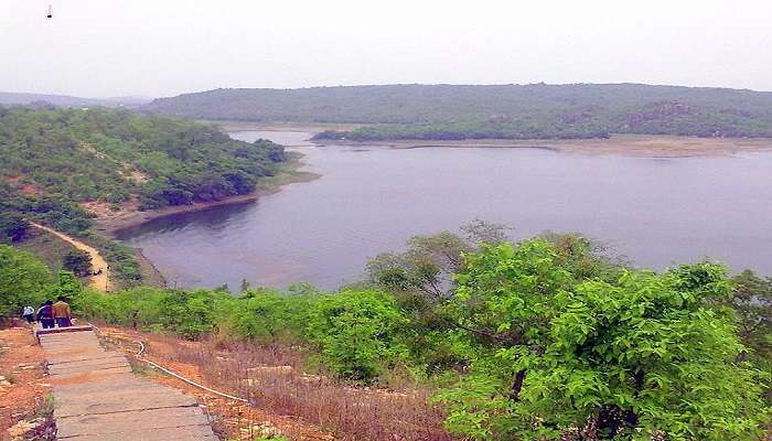 Wander in the Mallaram Forest, one of the best things to do in Nizamabad.