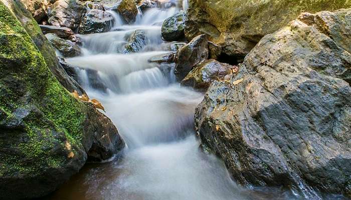 Maredumilli Waterfalls that you can visit near Pattiseema 