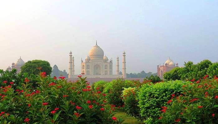 Mehtab Bagh in the Afternoon shows a mesmerising view of the Taj Mahal.