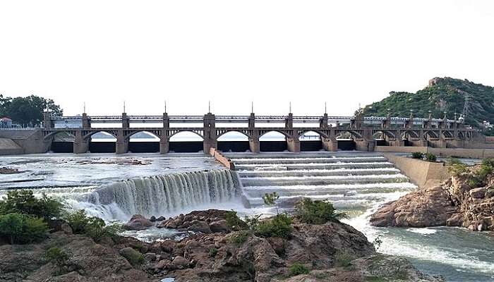 awe-striking beauty of Mettur Dam near Kottachedu teak forest
