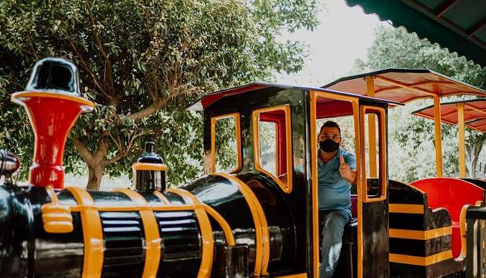 in the park, the one option that most people are curious about is the mini train