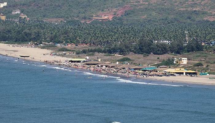 Morjim Beach is one of the best places to visit near Ashwem Beach