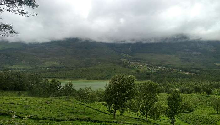 A landscape shot of Echo Point in Munnar, Kerala, near the vandiperiyar.