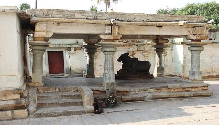 visit the Nageshwara Temple in South India.
