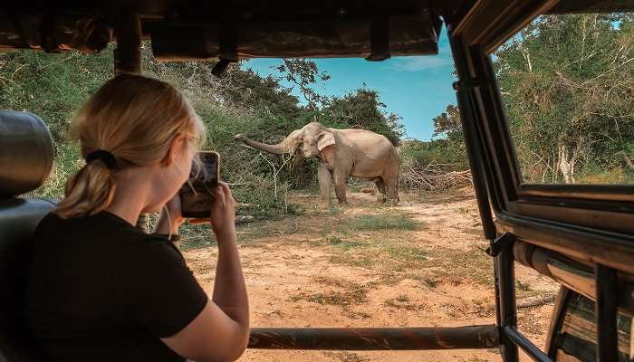 Wildlife spotting by a tourist during a safari in Kenya