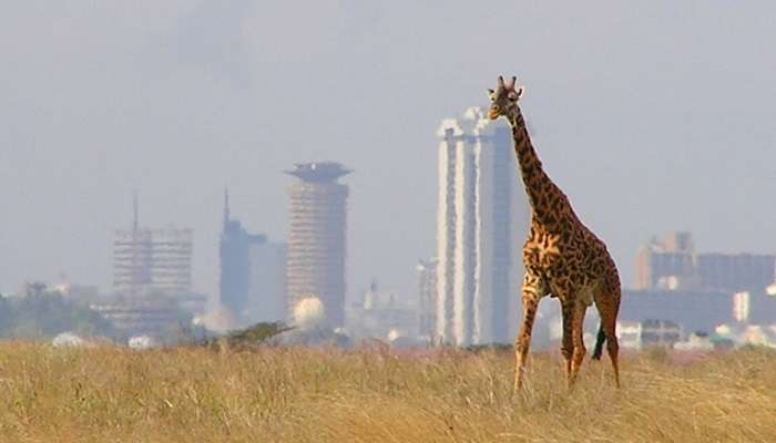 Stunning architecture at a landmark in Nairobi Kenya