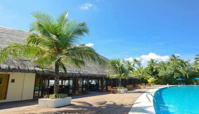 Namaste Yoga Resort is one of the best staycation.