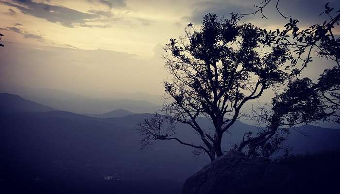 Take a stroll through the Bear’s cave in Yercaud