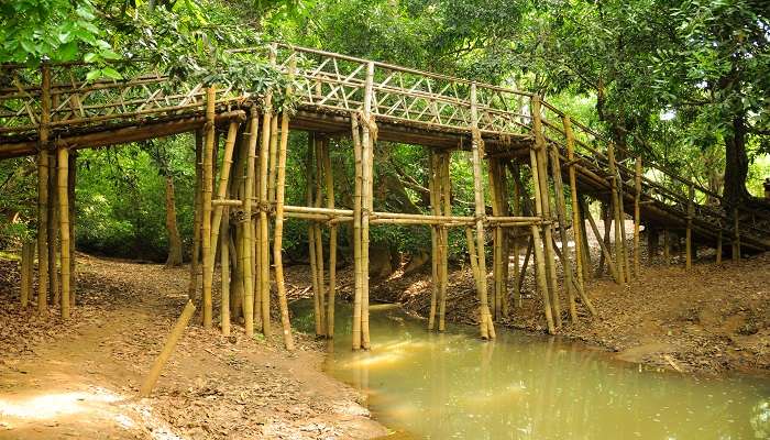 A bamboo bridge in Kuruva Island