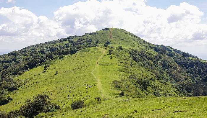 A beautiful view of Ngong Hills