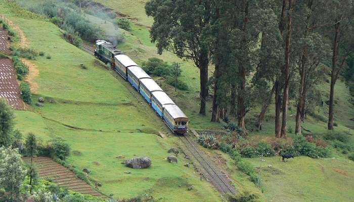 Toy Train sur la Nilgiri Mountain Railways