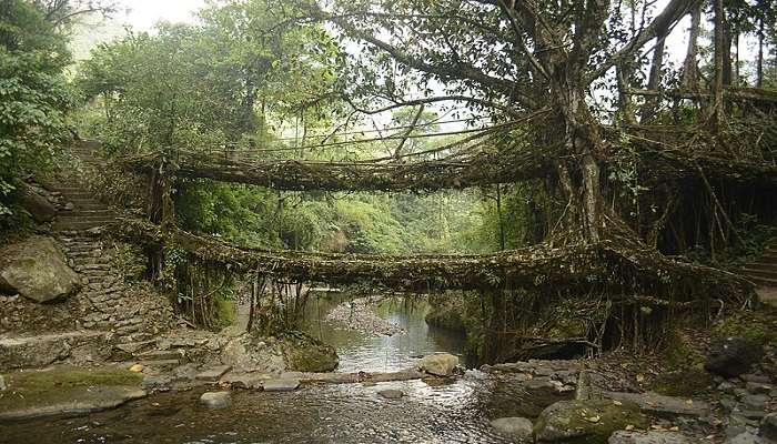 Natural man-made bridges around the village of Nongriat