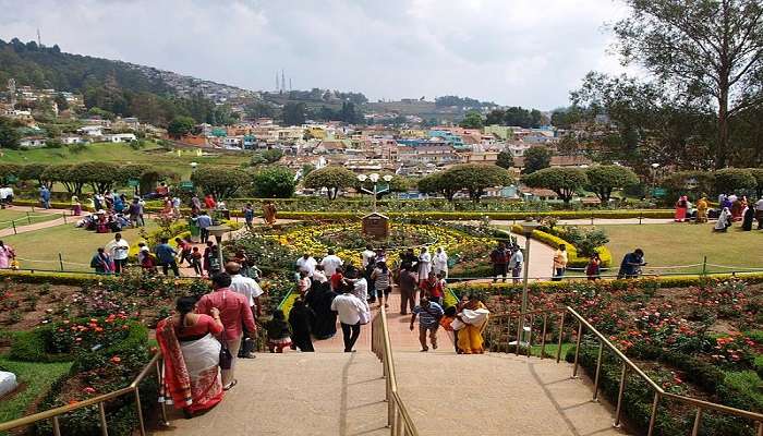 people visiting the Rose Garden in Ooty