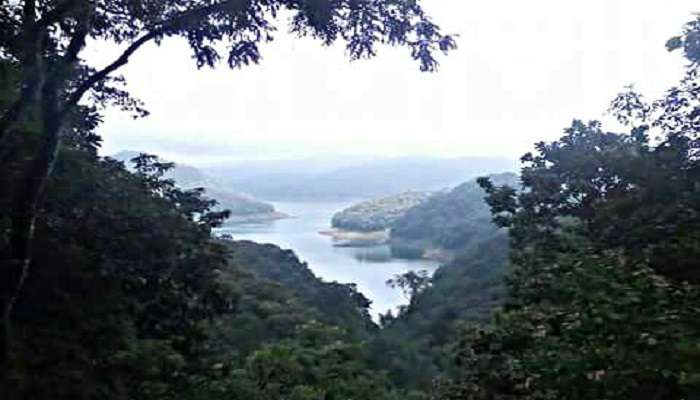 Painavu nestled in Idukki Wildlife Sanctuary