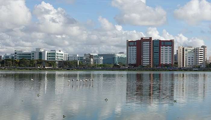 the serene view of Pallikaranai Marsh Reserve Forest 