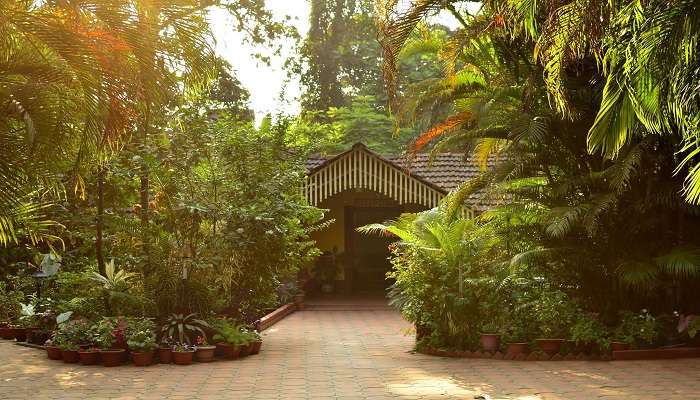 En entrance of the Palm Grove Cottages to stay.