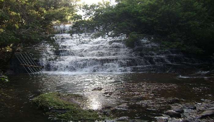 Distance view of Pambar Falls near Upper Lake View 