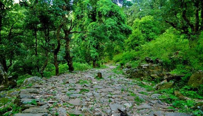 Don't miss out on the historical marvels of Pithoragarh - visit now!