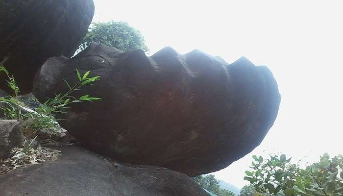  Pandavan Pura lotus stone for the mesmerising view. 