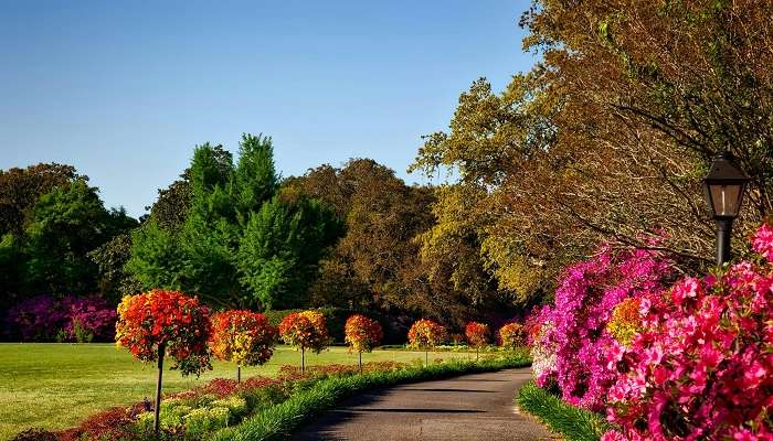 he serene view of Joggers Park Sagar