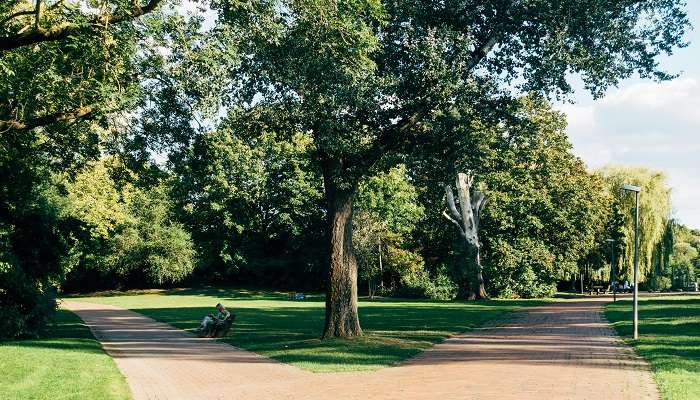 People having a walk at the park